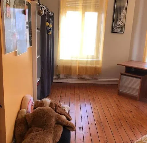 Maison Conviviale Aux Abords De La Vieille Vakantiehuis *